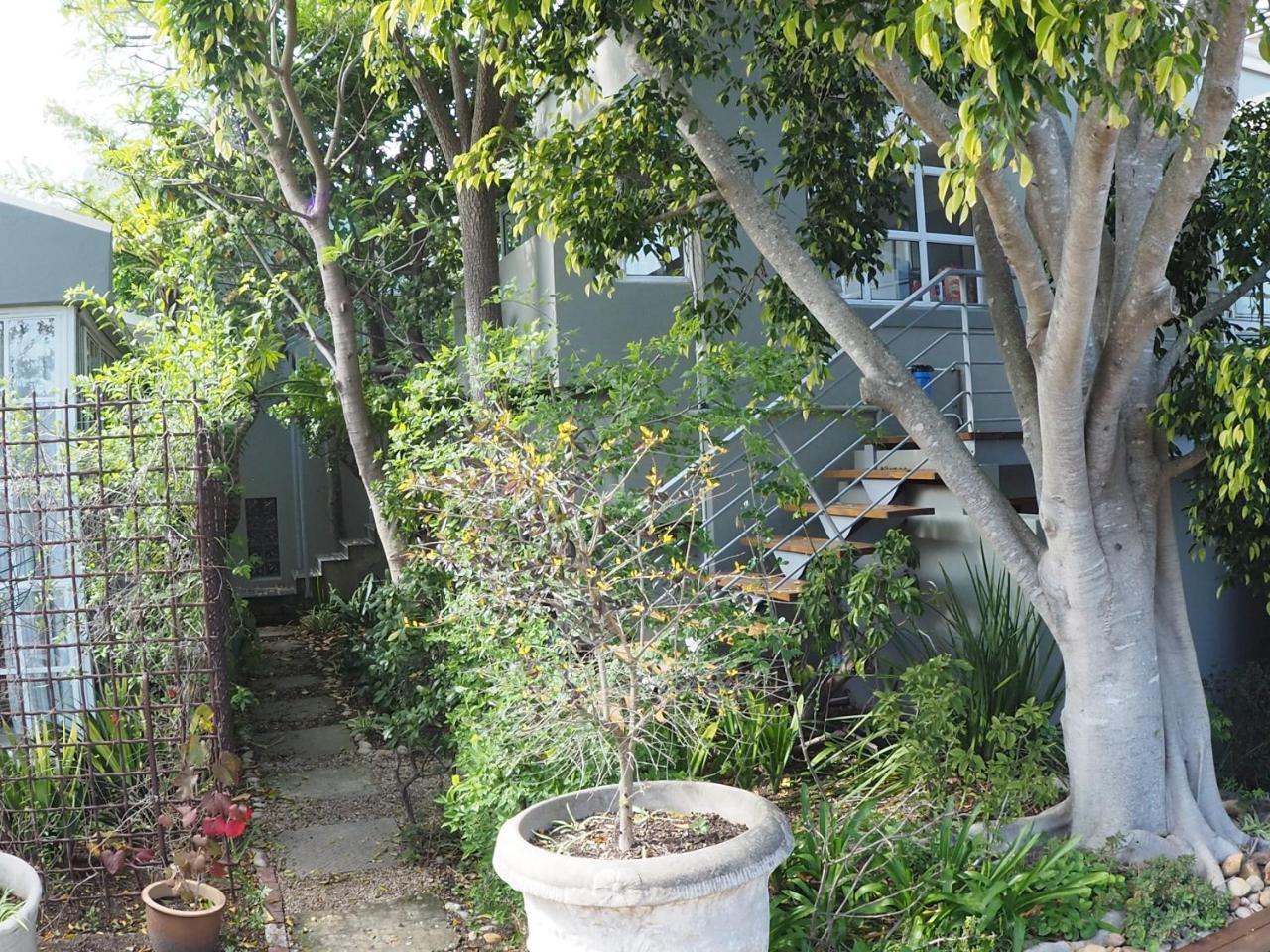 Hillview Boutique Apartments クニスナ エクステリア 写真