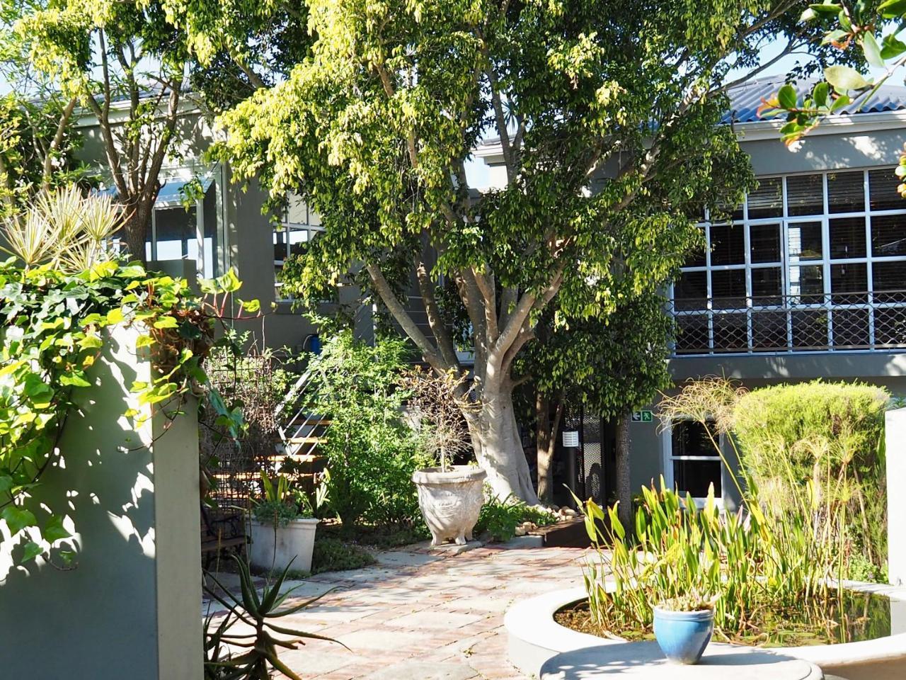 Hillview Boutique Apartments クニスナ エクステリア 写真